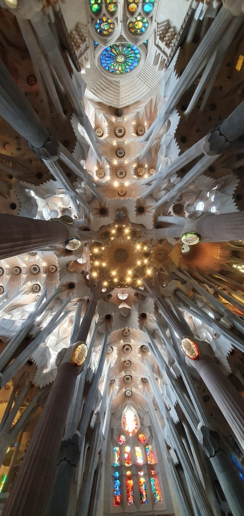 Teto Sagrada Familia