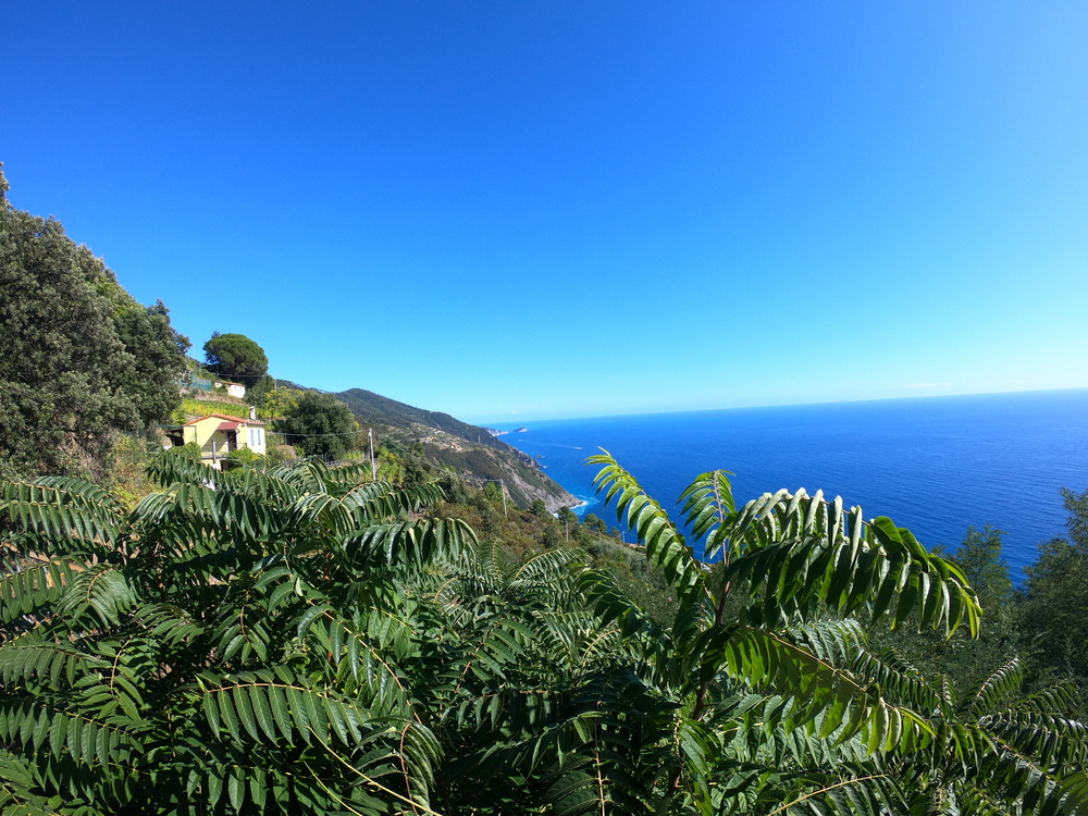 Trilha the Riomaggiore ring