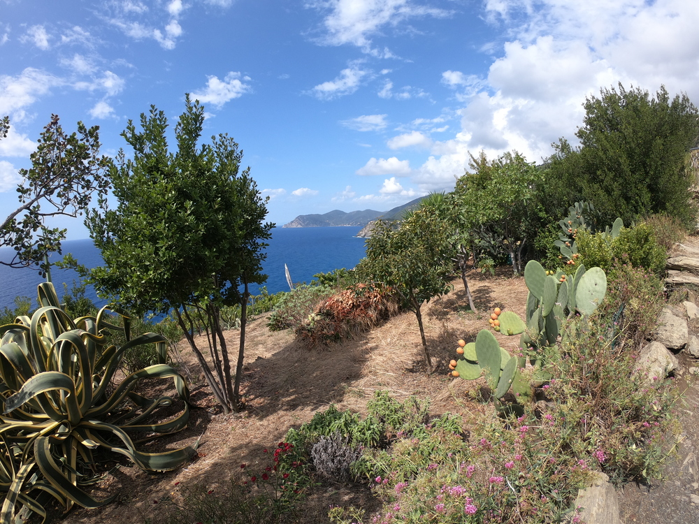 Trilha Manarola a Volastra