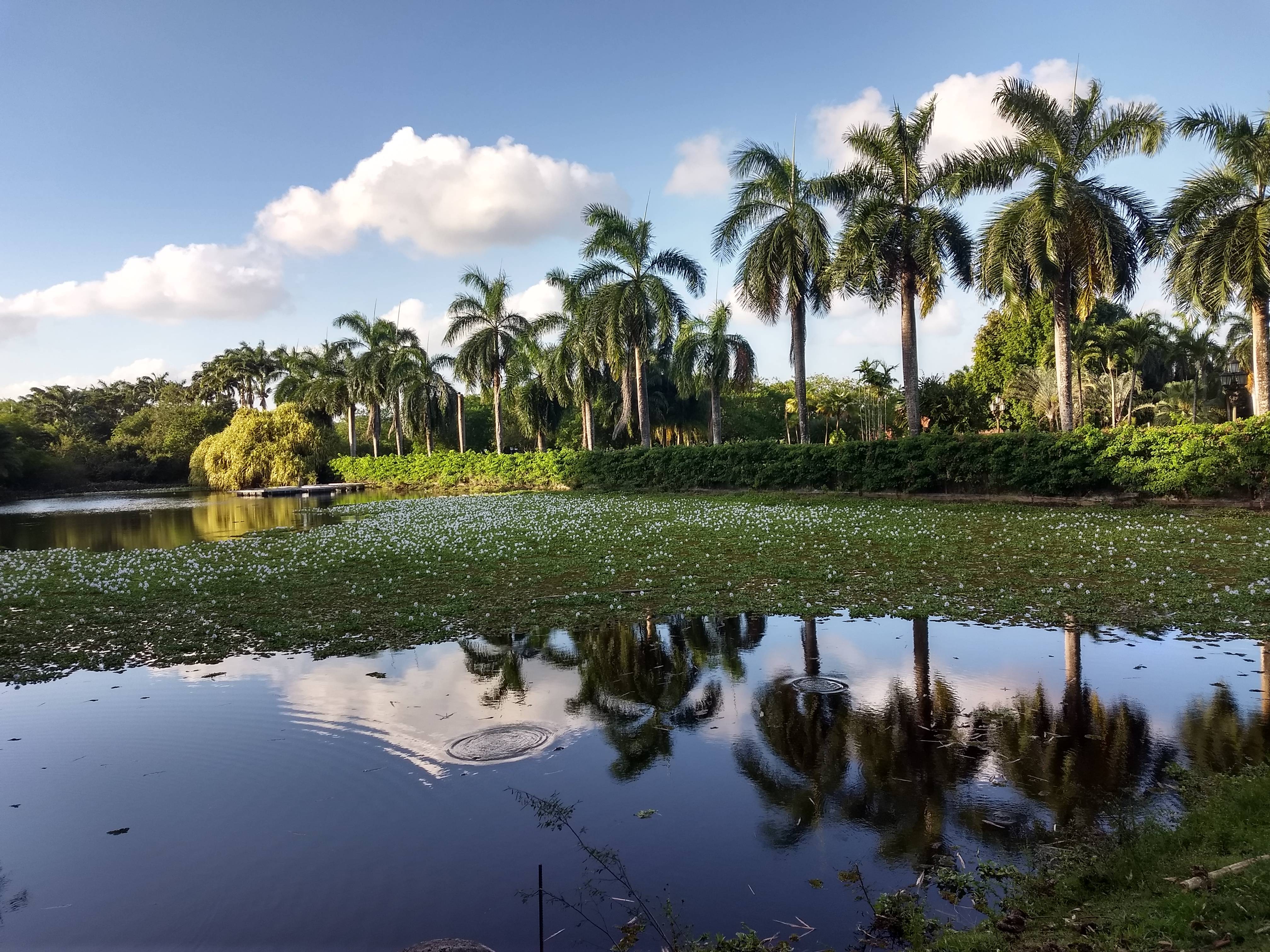 Lago do Instituto Brennand