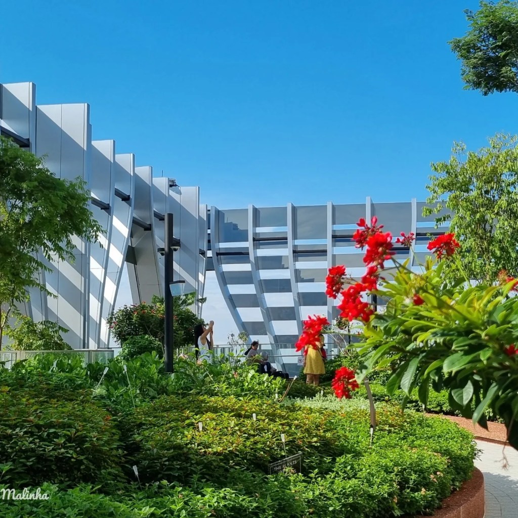 Flores no CapitaSpring